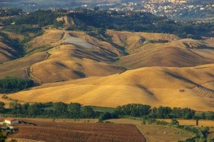 Parco ad alta Valdera