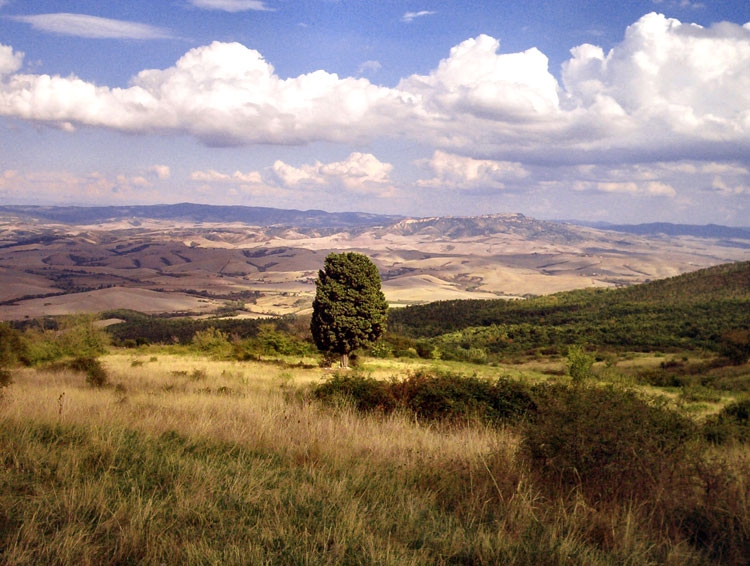 Ippovia di Lajatico