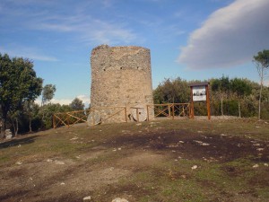 Windmill