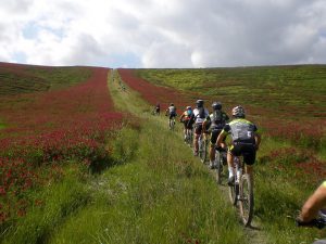 6° Randonnée M.T.B. della Valdera 2017 - Pontedera